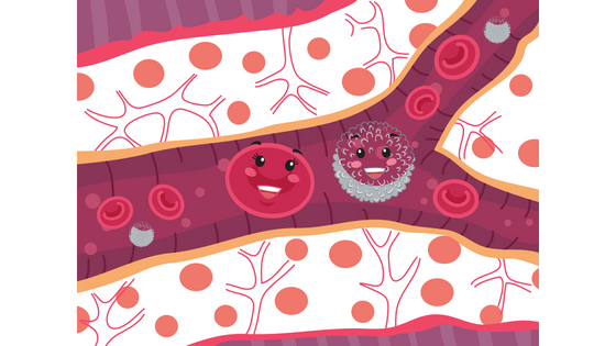 Understanding Probiotics