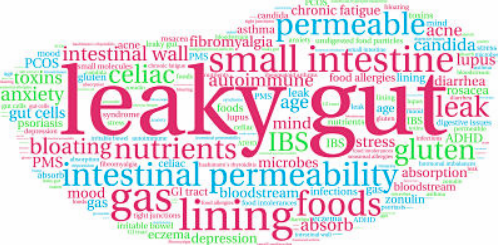 Dr. Andrew Campbell: “Leaky Gut Syndr...