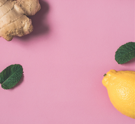 Immune Health & Probiotics