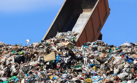 13 Signs That You're Over-Toxed (and ...