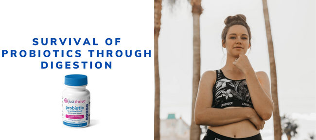 Survival of Probiotics Through Digestion