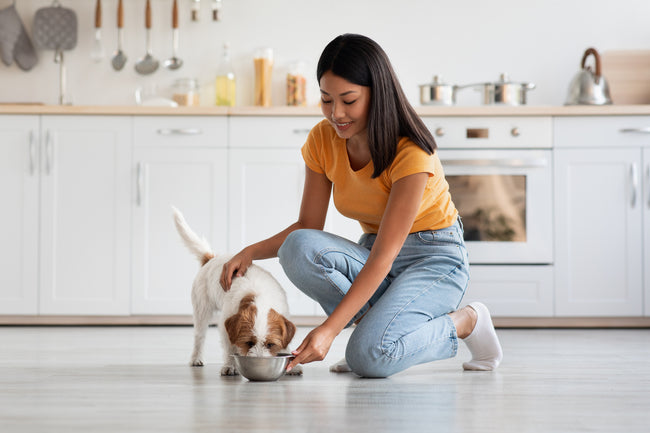 Can Dogs Eat “_______”