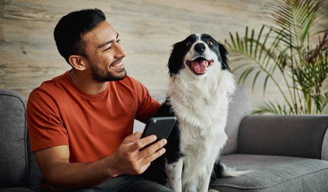 7 Ways to Keep Your Dog Safe This Season