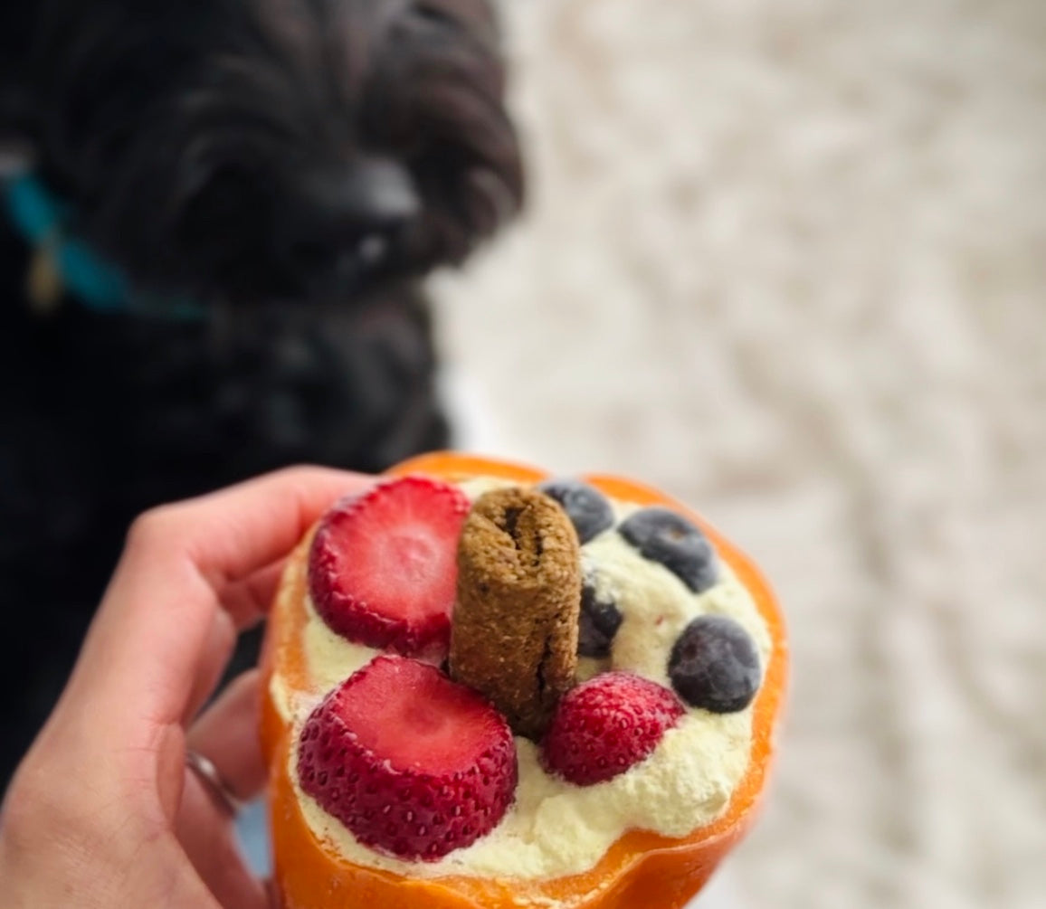 Eat The Bowl Too” Enrichment Dog Treat – Just Thrive