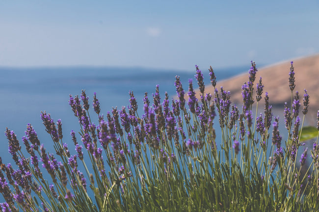 Easy Ways to Calm Yourself and Your I...