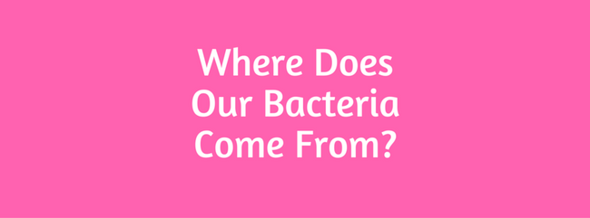 Where Does Our Bacteria Come From: Ou...
