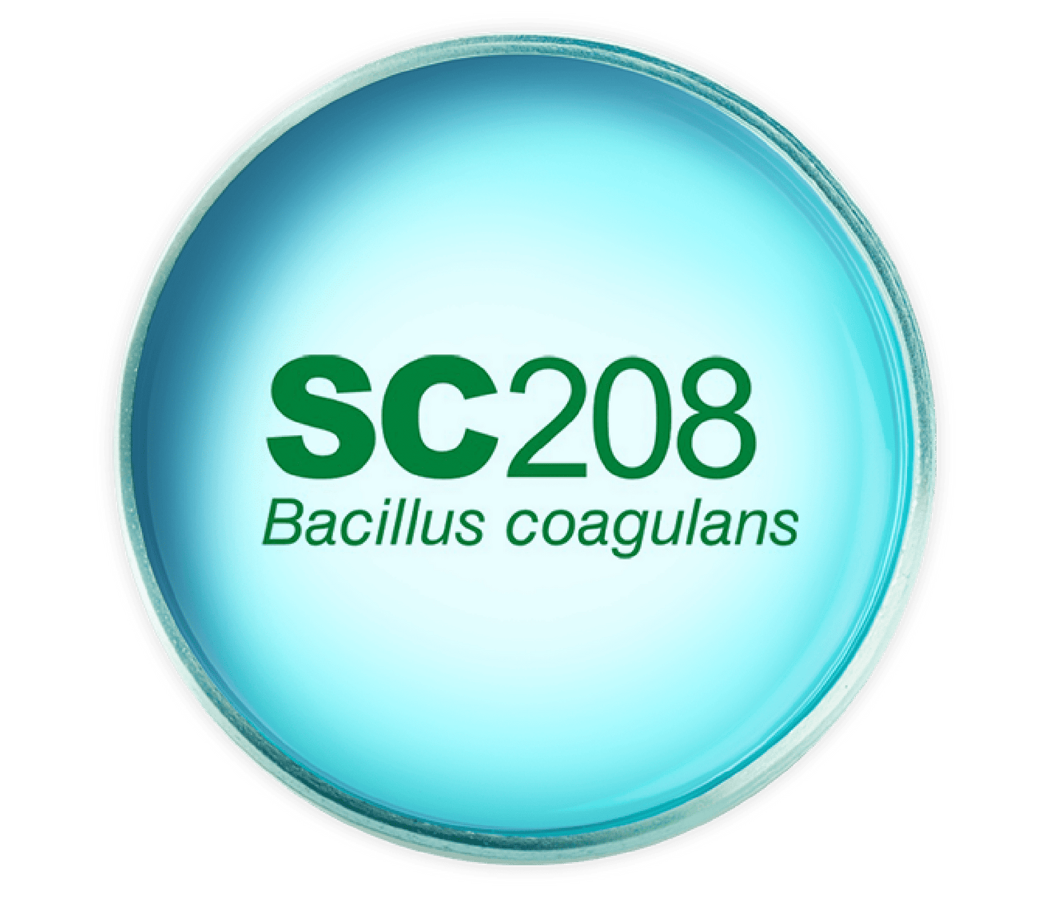 bacillus-coagulans