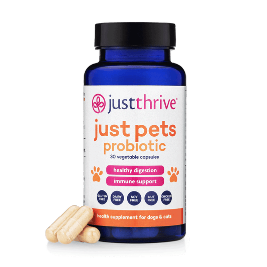 Just-Pets-0324-front