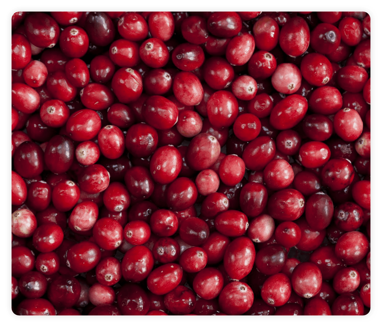 Pacran_Whole_Cranberry_Matrix