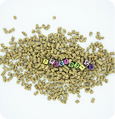 bacillus-coagulans