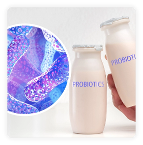 bacillus-subtilis