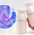 bacillus-subtilis