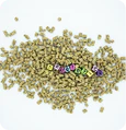 Bacillus coagulans