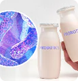 Bacillus subtilis HU58