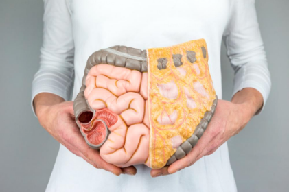 RESEARCH: Journal of Natural Health Solutions (UK): Is Your Gut Fully Benefiting From Your Probiotic Supplement?