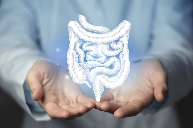 Akkermansia: The Keystone Bacteria fo...