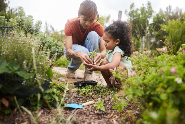 5 Reasons to Start a Garden (and Get ...