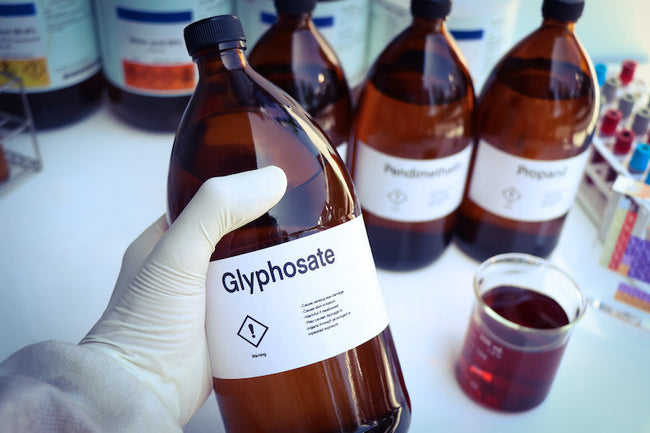 Is Glyphosate Secretly Wrecking Your ...