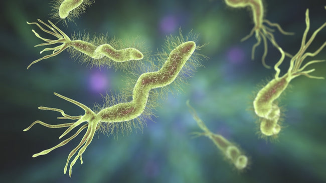 What Is H. pylori? 7 Ways to Support ...