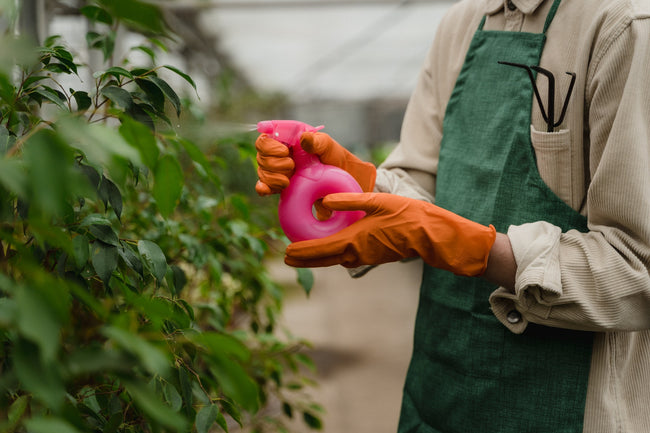 5 Scary Consequences Of Pesticide Exposure