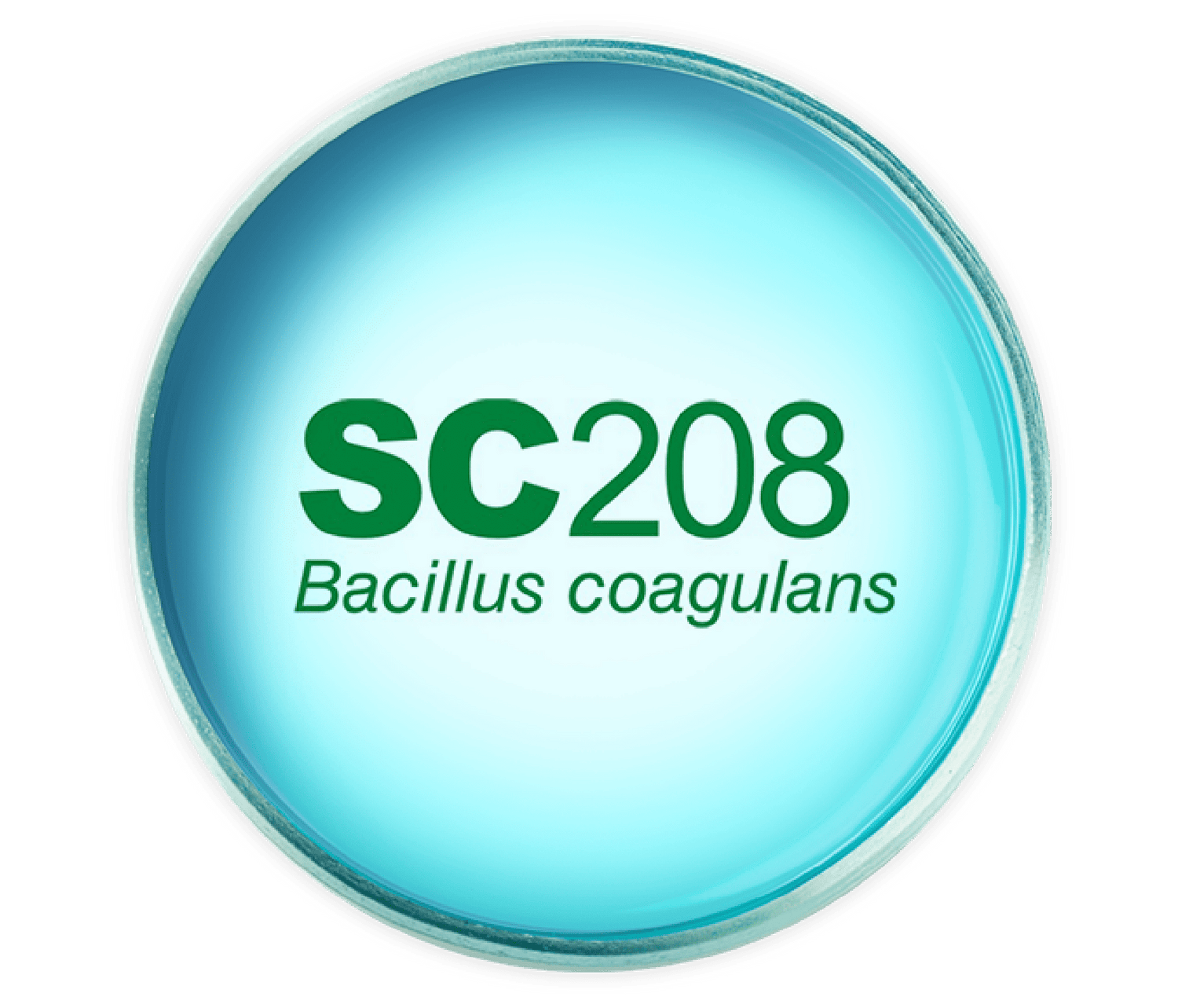 bacillus-coagulans