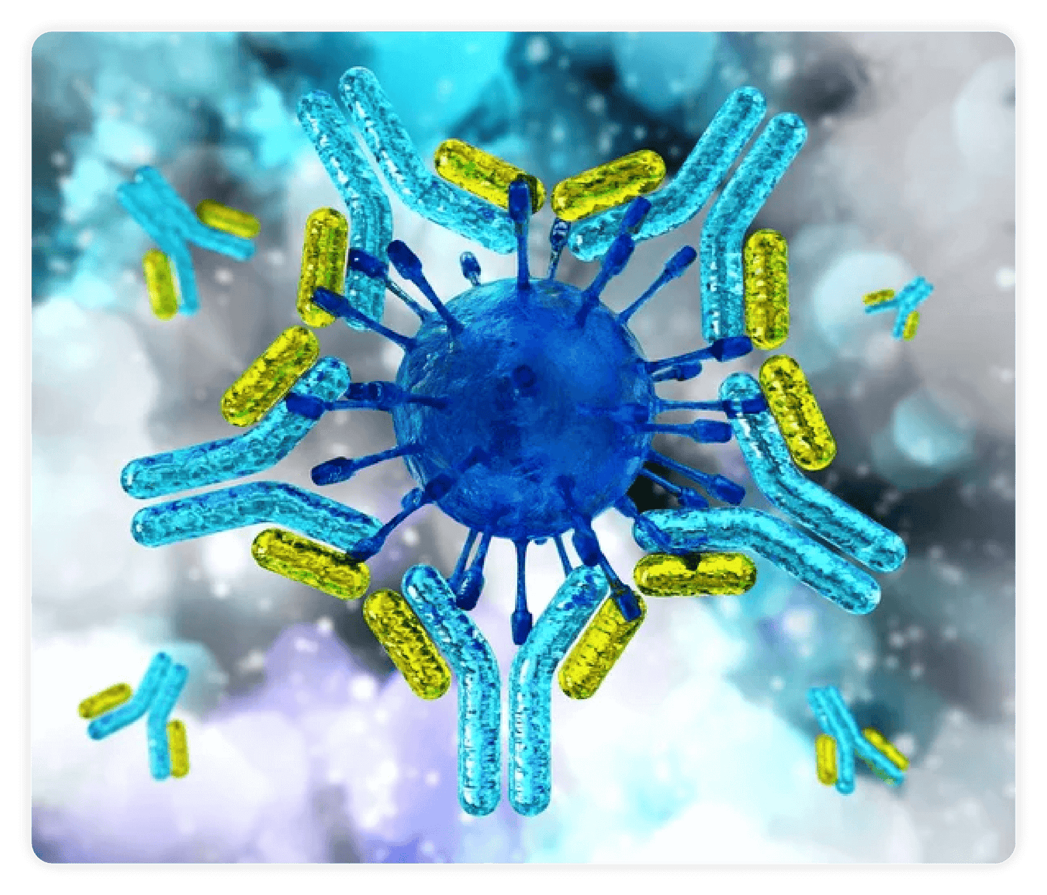 Immunoglobulin_A