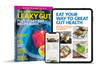 The Lowdown on Leaky Gut + 40 Gut Yummy Recipes (ebook)