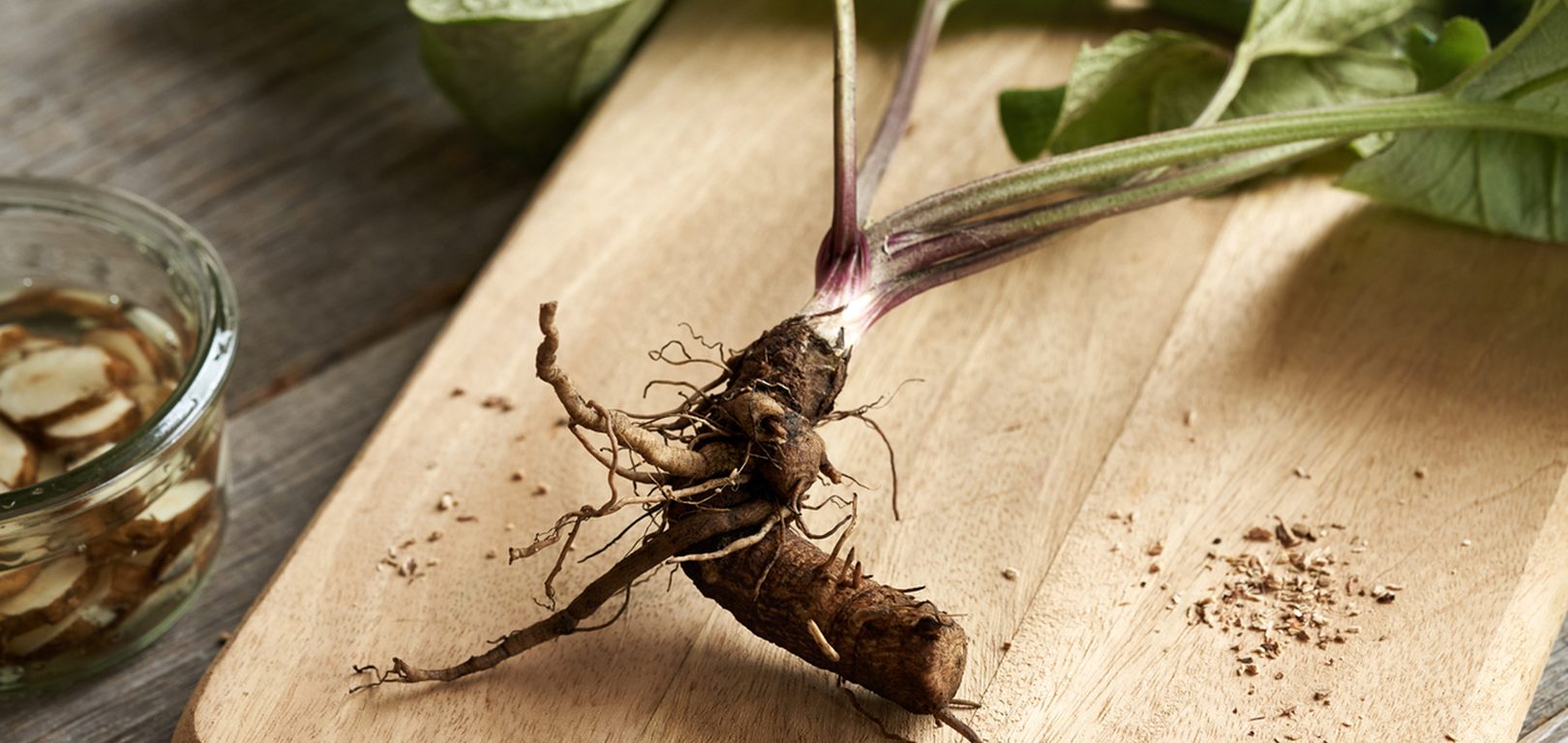 Fresh chicory root on a wooden cutting board
