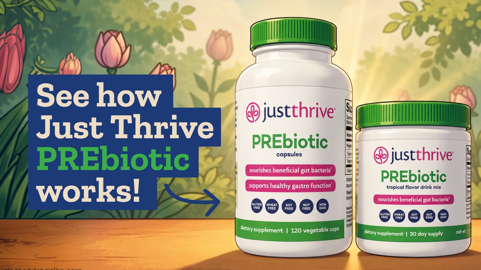 See how Just Thrive PREbiotic works